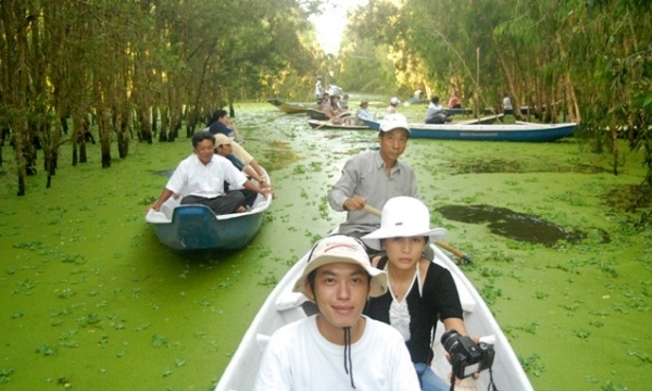 Restore the landscape of Tra Su Cajuput Forest Wetland